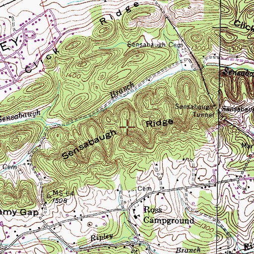 Topographic Map of Sensabaugh Ridge, TN