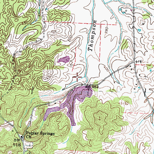 Topographic Map of Austin Hank Lake, TN