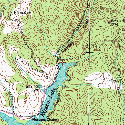 Topographic Map of Ripshin Lake, TN