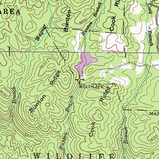 Topographic Map of Odom Trout Lake Dam, TN
