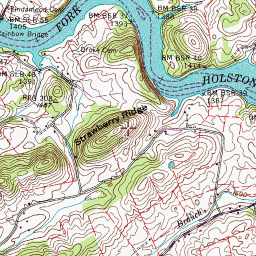 Topographic Map of Strawberry Ridge, TN