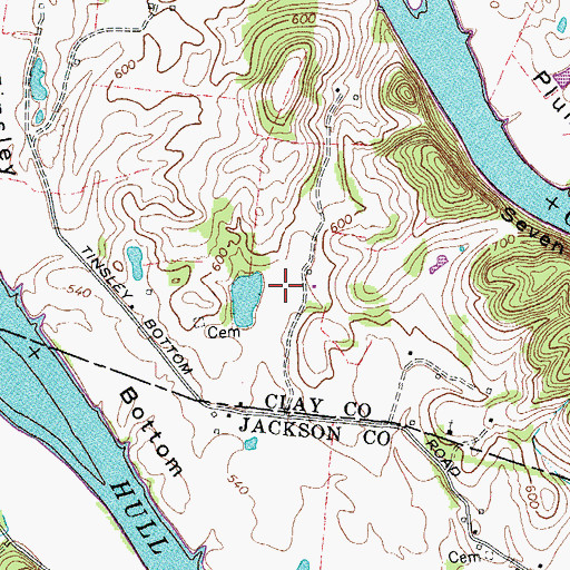 Topographic Map of Tinsley Bottom, TN