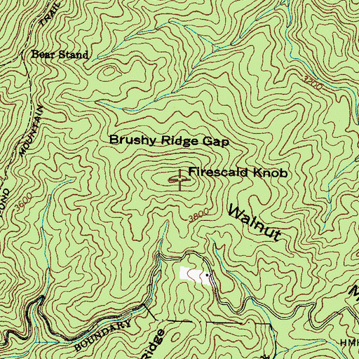 Topographic Map of Walnut Mountain, TN