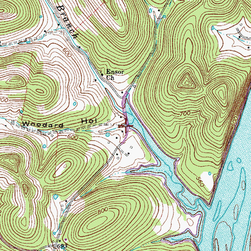 Topographic Map of Woodard Hollow, TN