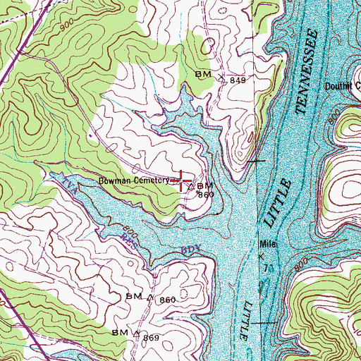 Topographic Map of Bowman Cemetery, TN