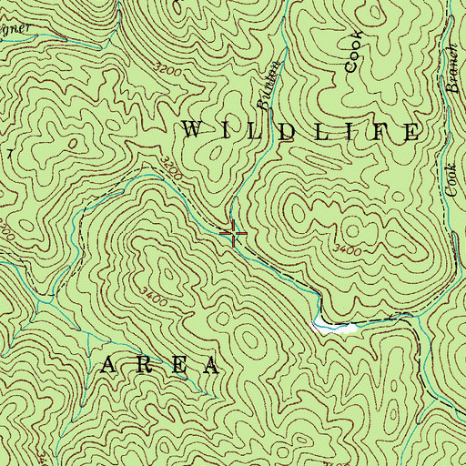 Topographic Map of Bunton Branch, TN