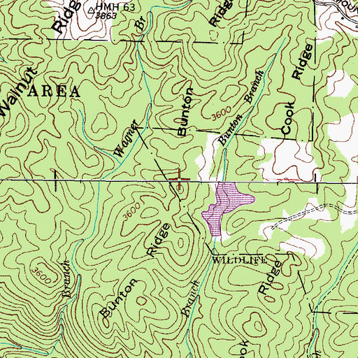 Topographic Map of Bunton Ridge, TN