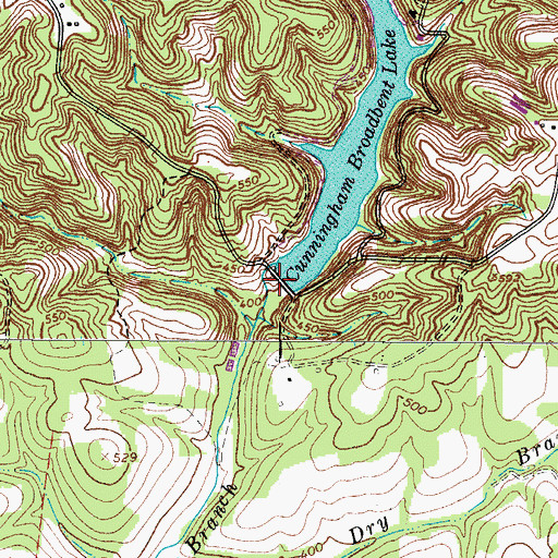 Topographic Map of Cunningham Broadbent Lake Dam, TN