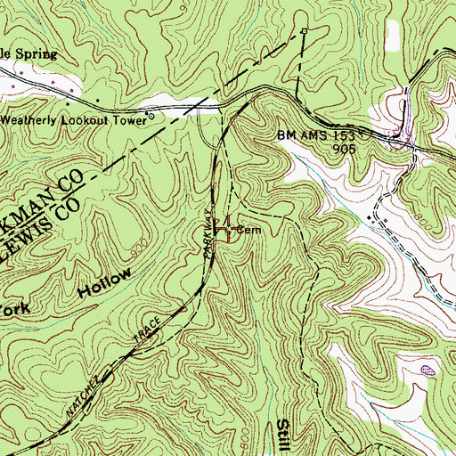 Topographic Map of Whitfield Cemetery, TN