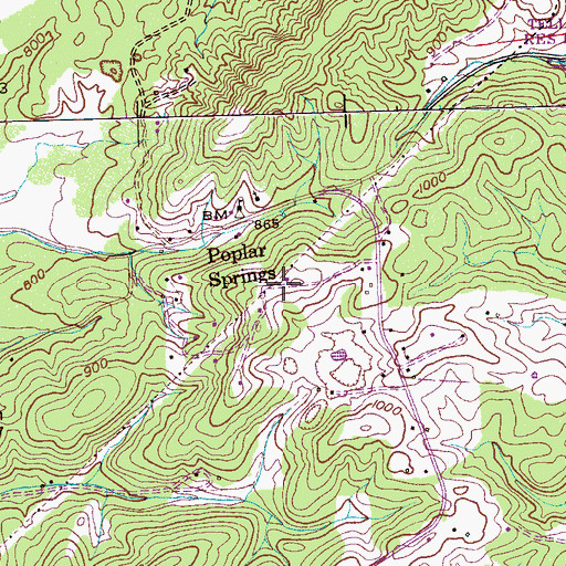 Topographic Map of Poplar Springs Ridge, TN