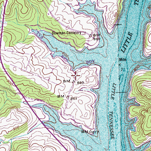 Topographic Map of Bowman Church (historical), TN