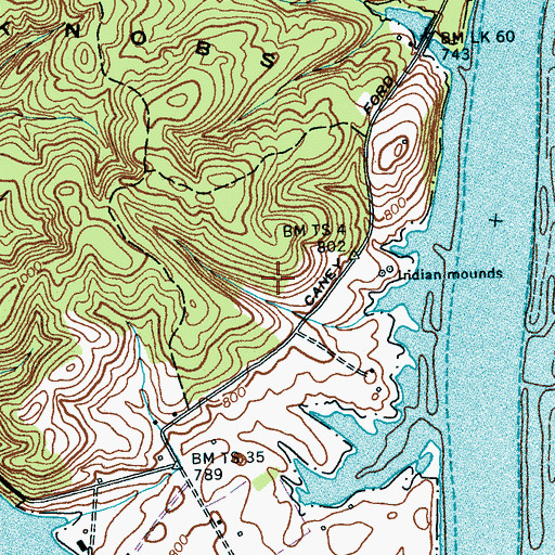 Topographic Map of Circle M, TN