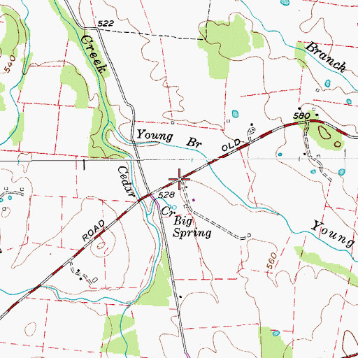 Topographic Map of Big Spring (historical), TN