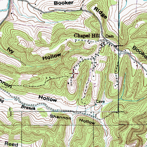 Topographic Map of Negro Hill, TN