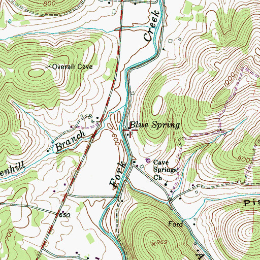 Topographic Map of Blue Spring, TN
