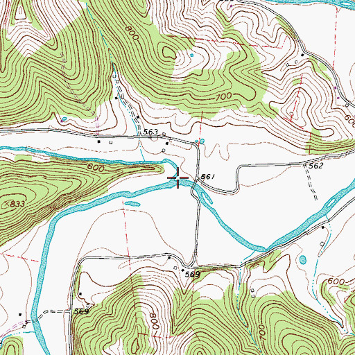 Topographic Map of Dismal Branch, TN