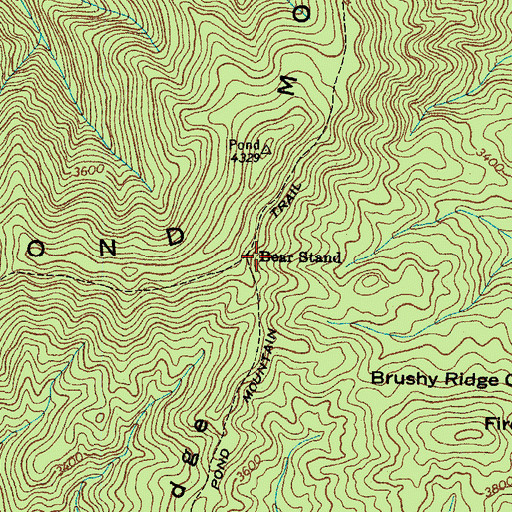 Topographic Map of Bear Stand, TN