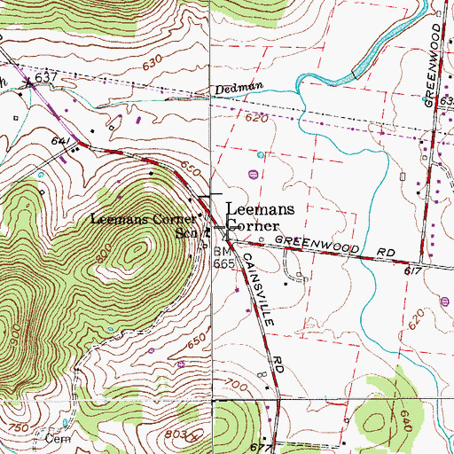 Topographic Map of Leemans Corner, TN
