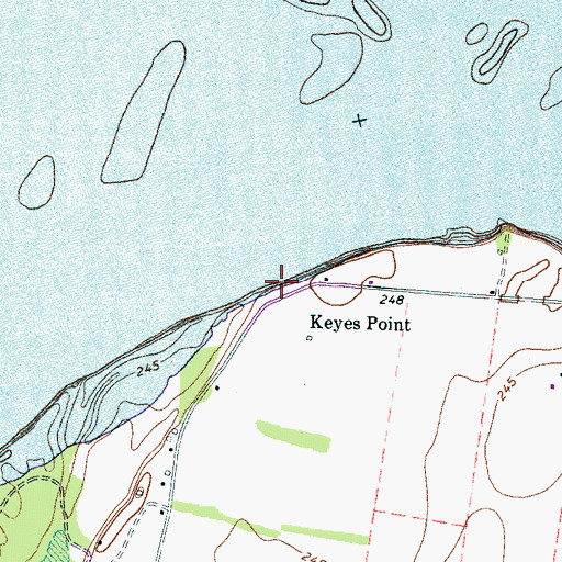 Topographic Map of Keyes Point Landing, TN