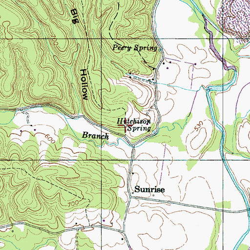 Topographic Map of Hutchinson Spring Mines, TN