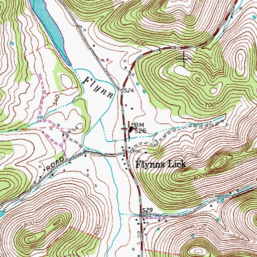 Topographic Map of Flynns Lick School (historical), TN