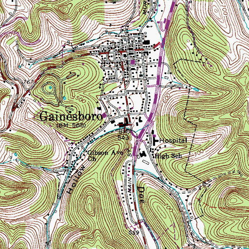 Topographic Map of Gainesboro Elementary School, TN