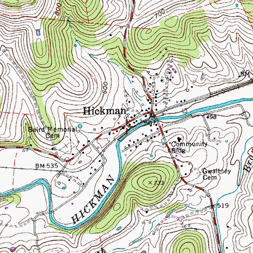 Topographic Map of Hickman Baptist Church, TN