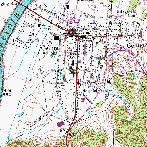Topographic Map of Celina School, TN