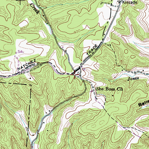 Topographic Map of Sheboss Place, TN