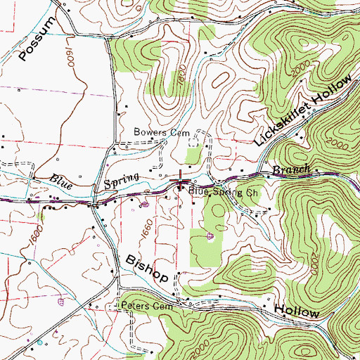 Topographic Map of Blue Spring Church, TN