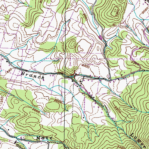 Topographic Map of Lower Nidifer Branch, TN