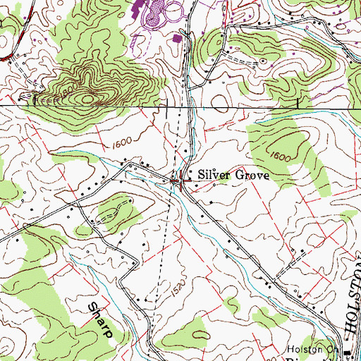 Topographic Map of Silver Grove, TN
