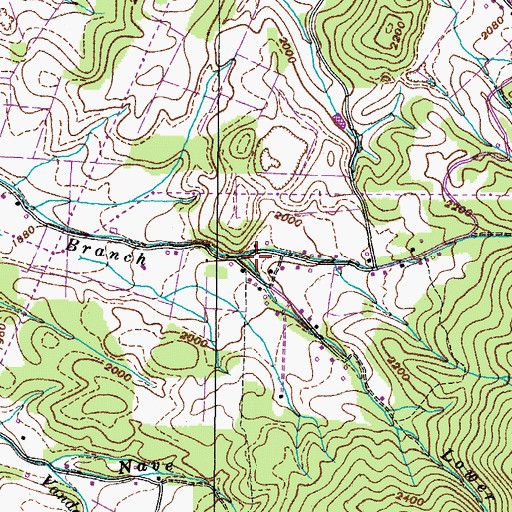 Topographic Map of Upper Nidifer Branch, TN