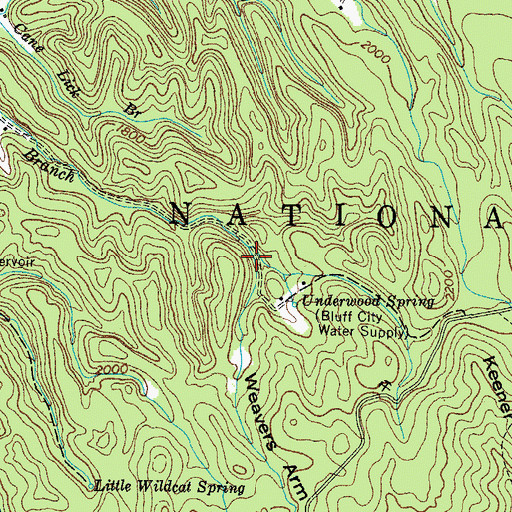 Topographic Map of Weavers Arm Hollow, TN