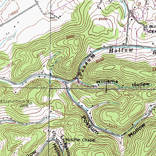 Topographic Map of Williams Hollow, TN