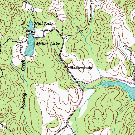 Topographic Map of Backwoods, TN