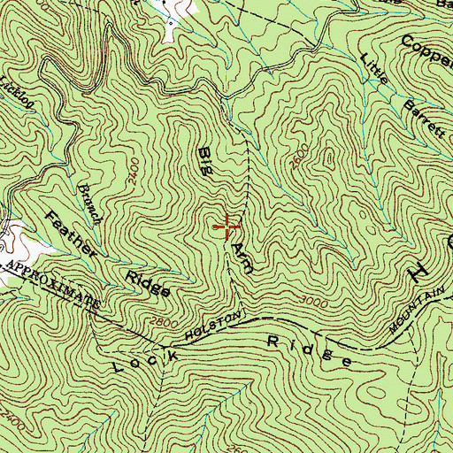 Topographic Map of Big Arm, TN