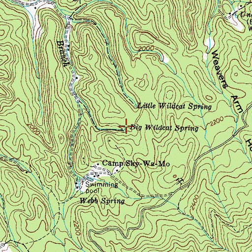 Topographic Map of Big Wildcat Spring, TN
