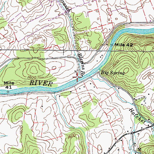 Topographic Map of Blevins Branch, TN