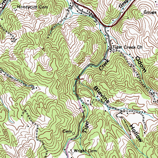 Topographic Map of Blevins Hollow, TN