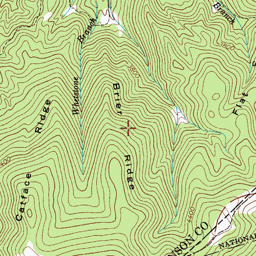 Topographic Map of Brier Ridge, TN