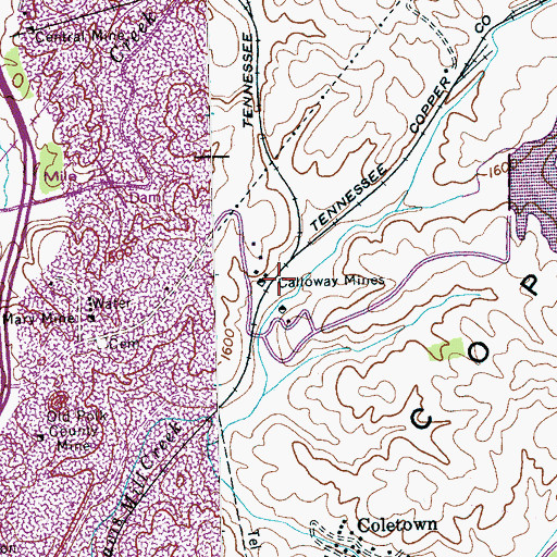 Topographic Map of Calloway Mines, TN