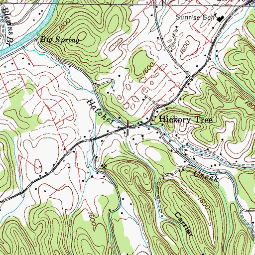 Topographic Map of Carrier Hollow, TN