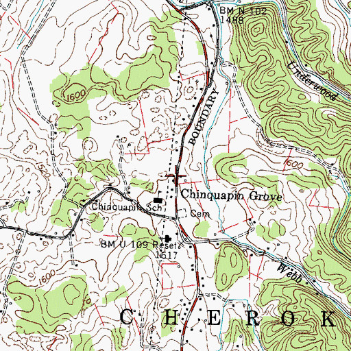 Topographic Map of Chinquapin Grove, TN