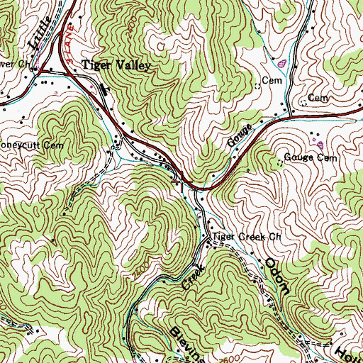 Topographic Map of Gouge Branch, TN