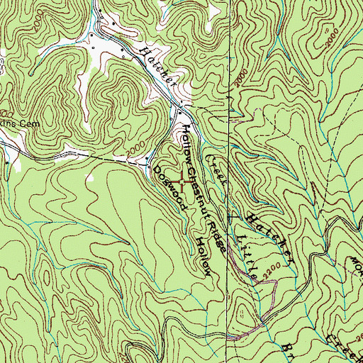 Topographic Map of Hollow Chestnut Ridge, TN