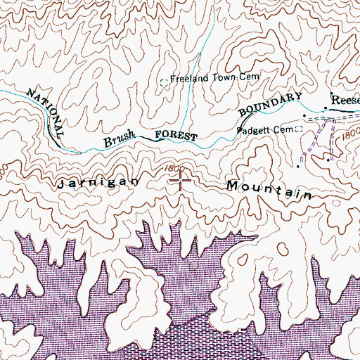 Topographic Map of Jarnigan Mountain, TN
