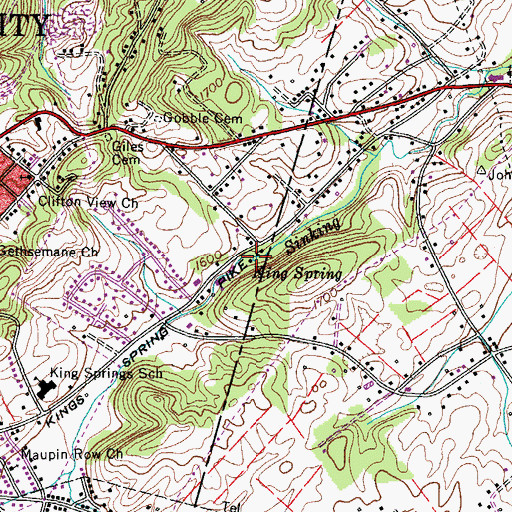 Topographic Map of King Spring, TN