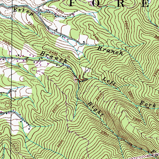Topographic Map of Left Fork Hurley Branch, TN