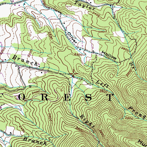 Topographic Map of Left Prong Hodge Branch, TN